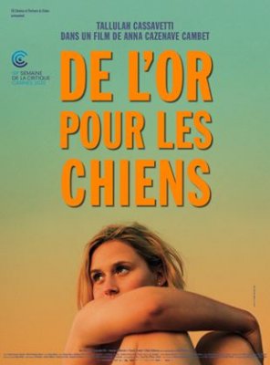 de l'or pour les chiens
